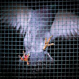 成人图片片❌❌❌免费
