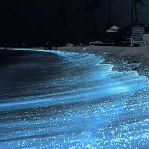 成人图片片❌❌❌免费
