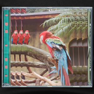 成人图片片❌❌❌免费
