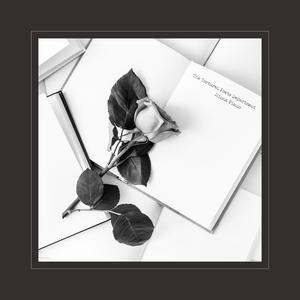 成人图片片❌❌❌免费
