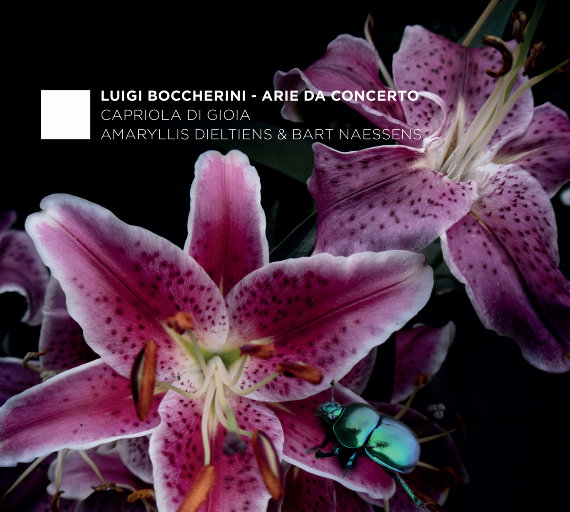 成人图片片❌❌❌免费
